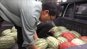 冰糖一个快乐的吃瓜群众,一个快乐的吃瓜群众，畅游娱乐江湖