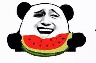 吃瓜群众吃小鲜肉,吃瓜群众大饱口福