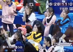 超新星全运会吃瓜群众,吃瓜群众眼中的星光璀璨与欢乐竞技