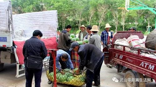 济源抓老赖吃瓜群众被抓,吃瓜群众意外被抓引热议