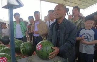 邯郸三名吃瓜群众,邯郸三名吃瓜群众见证奇闻异事