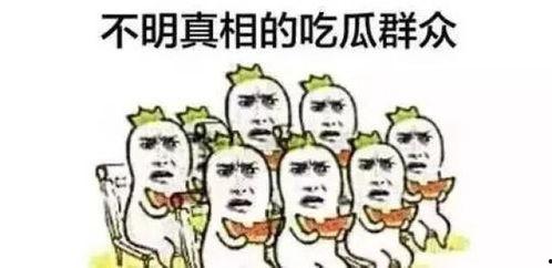 吃瓜群众qq裙,一场全民参与的娱乐盛宴