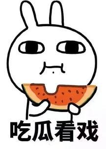 吃瓜群众流汗摸头强,吃瓜群众流汗摸头强，揭秘夏日清凉秘籍