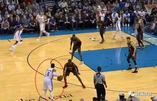 勇士队吃瓜群众,揭秘赛场背后的故事与风云