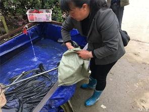 吃瓜群众打工回家记,一场别开生面的归途记