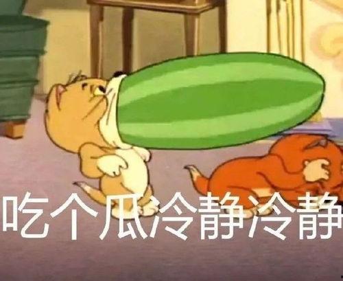 猫和老鼠吃瓜群众,吃瓜群众围观一场趣味对决