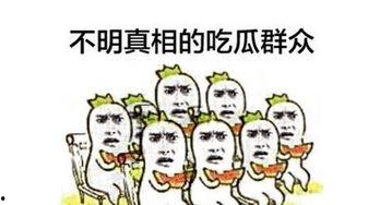 完美的吃瓜群众是什么,揭秘完美吃瓜群众的五大特质